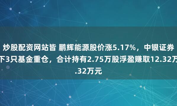 炒股配资网站皆 鹏辉能源股价涨5.17%，中银证券旗下3只基金重仓，合计持有2.75万股浮盈赚取12.32万元